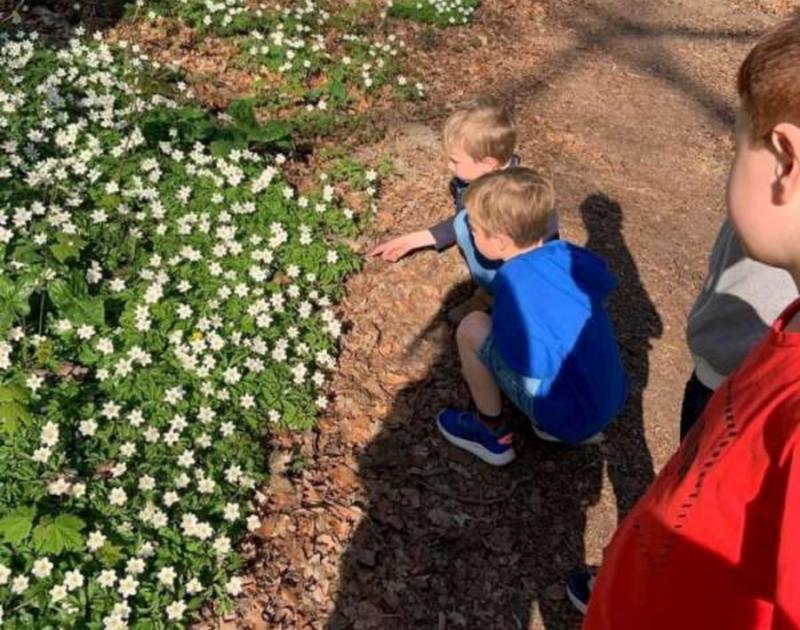 Klasblog 2de leerjaar