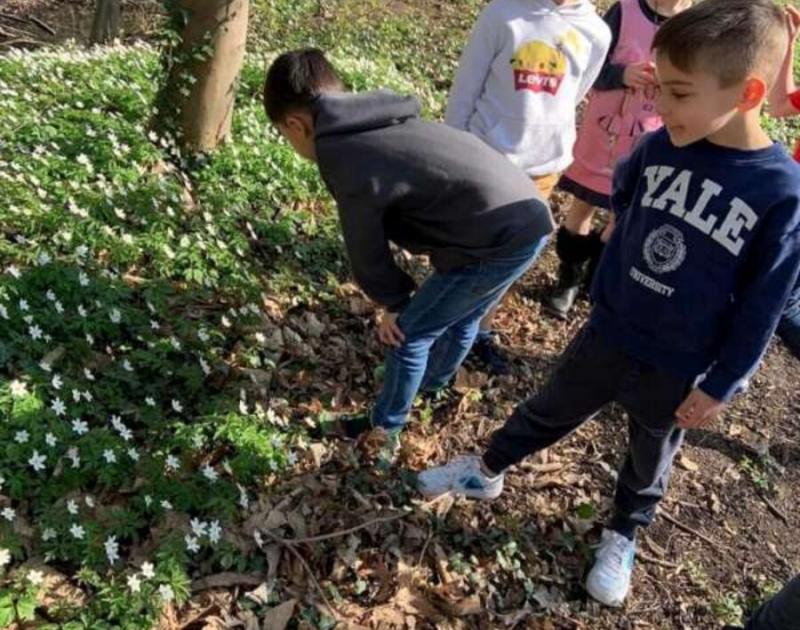 Klasblog 2de leerjaar