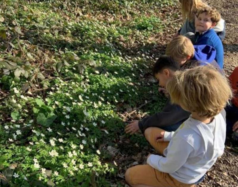 Klasblog 2de leerjaar