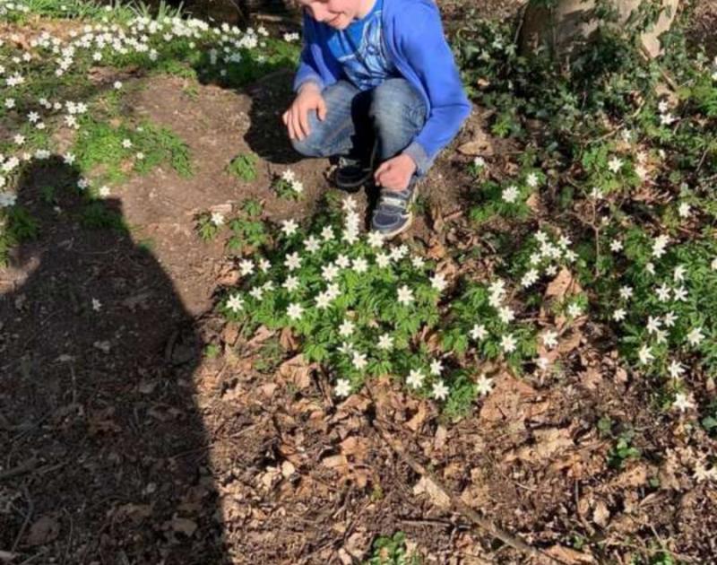 Klasblog 2de leerjaar