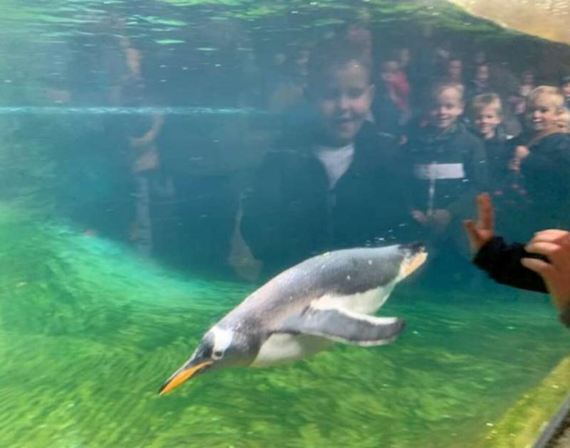 Klasblog 2de leerjaar