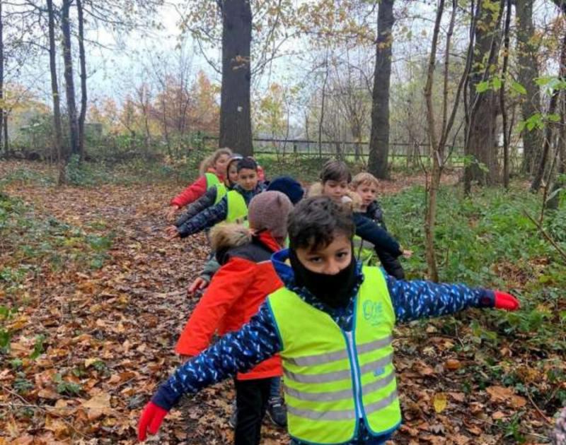 Klasblog 2de leerjaar