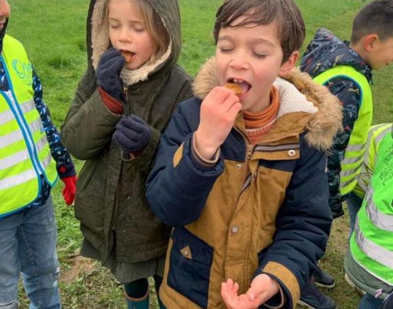 Klasblog 2de leerjaar