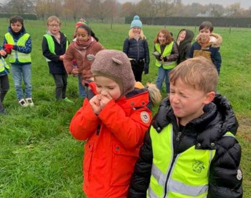 Klasblog 2de leerjaar