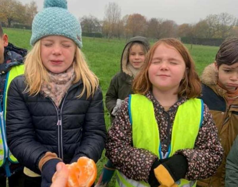 Klasblog 2de leerjaar