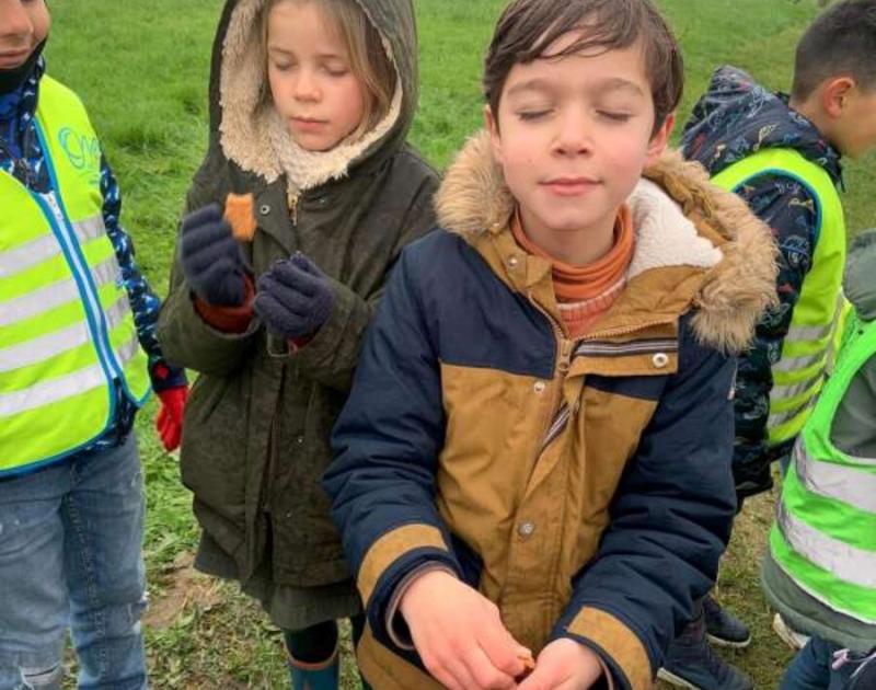 Klasblog 2de leerjaar