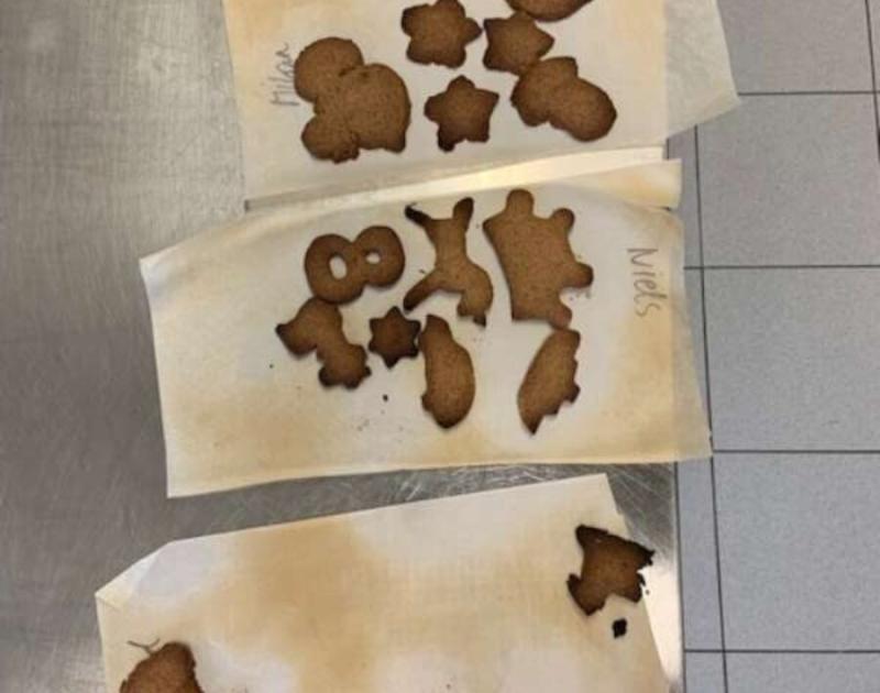 Klasblog 2de leerjaar