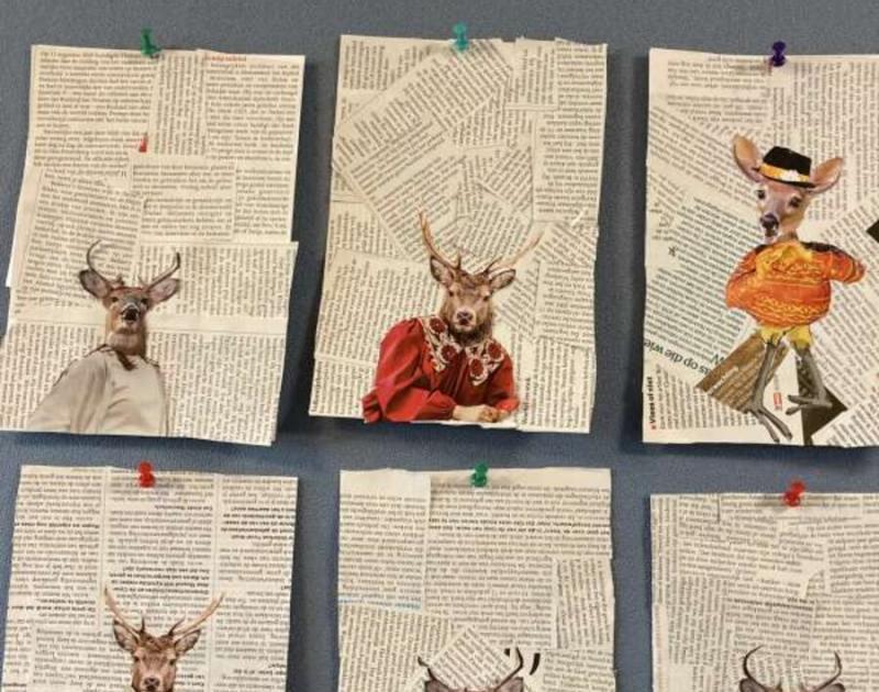 Klasblog 5de leerjaar