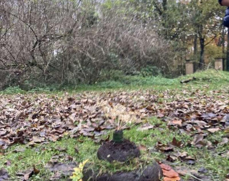 Klasblog 5de leerjaar