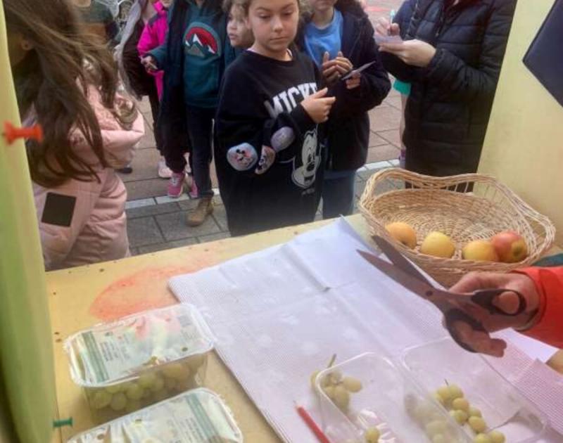 Samen tegen armoede!