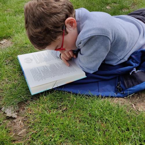 Lezen in het zonnetje